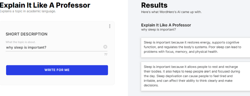 wordhero output