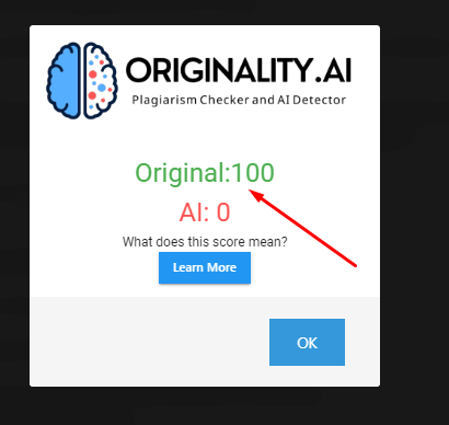 result from origjnality checker